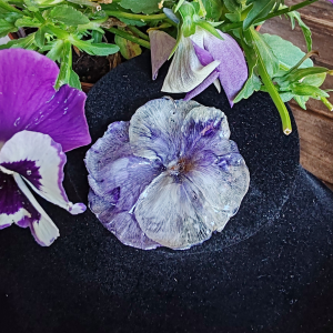 Pendentif Pensée  violet /jaune
