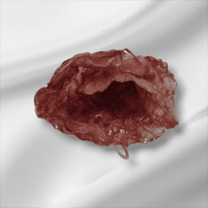 Broche de Coquelicot