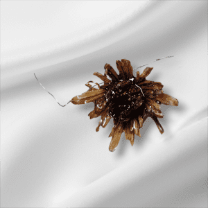 Pendentif de Fleur Marron Chrysanthème