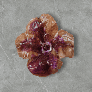 Pince de Fleur d 'Hibiscus