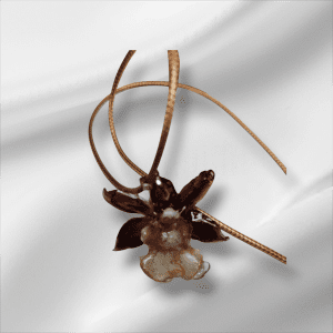 Pendentif de Fleur Orchidée