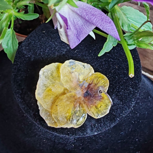 Pendentif de Pensé jaune