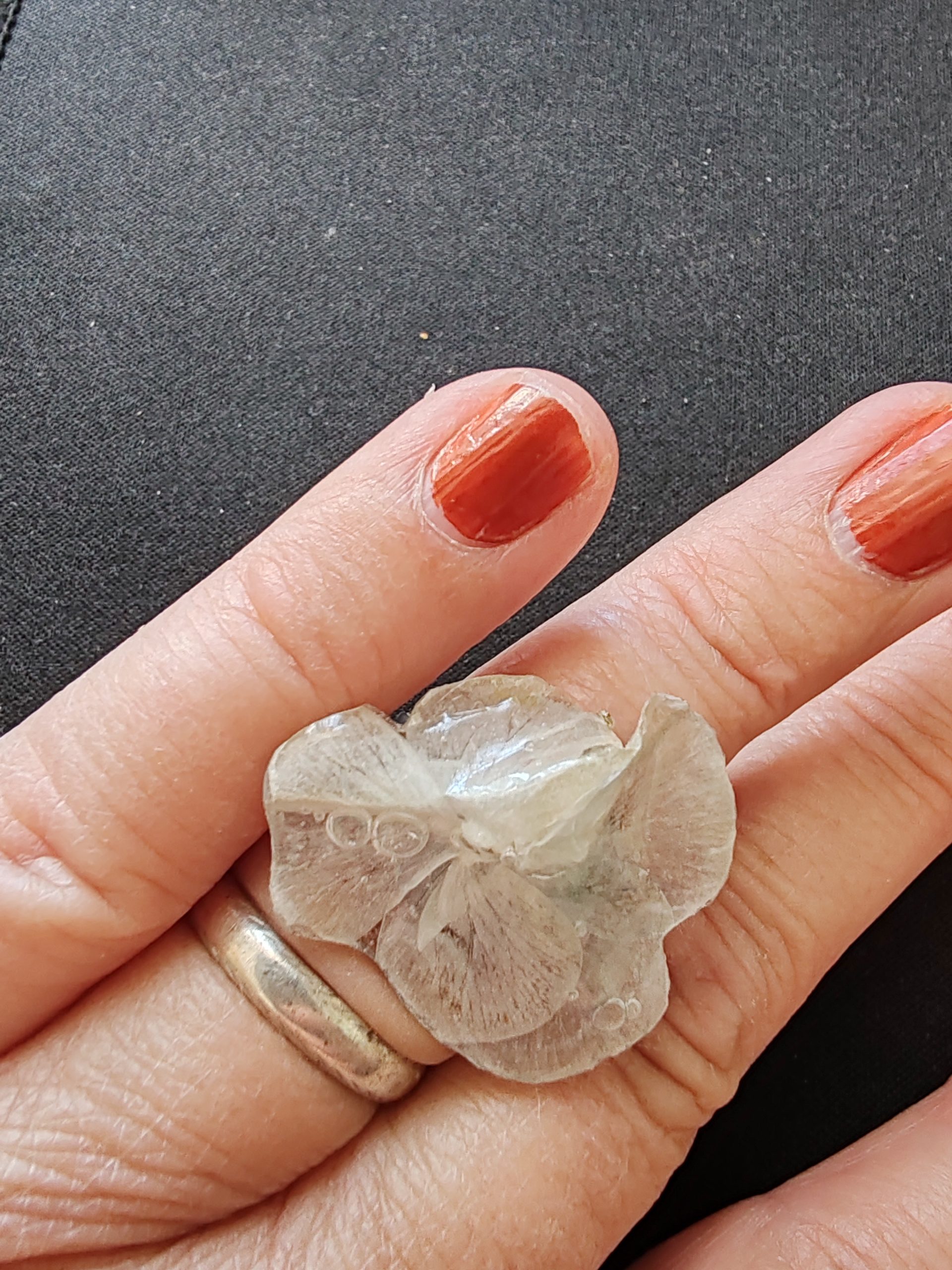 Bague de fleur Pensé